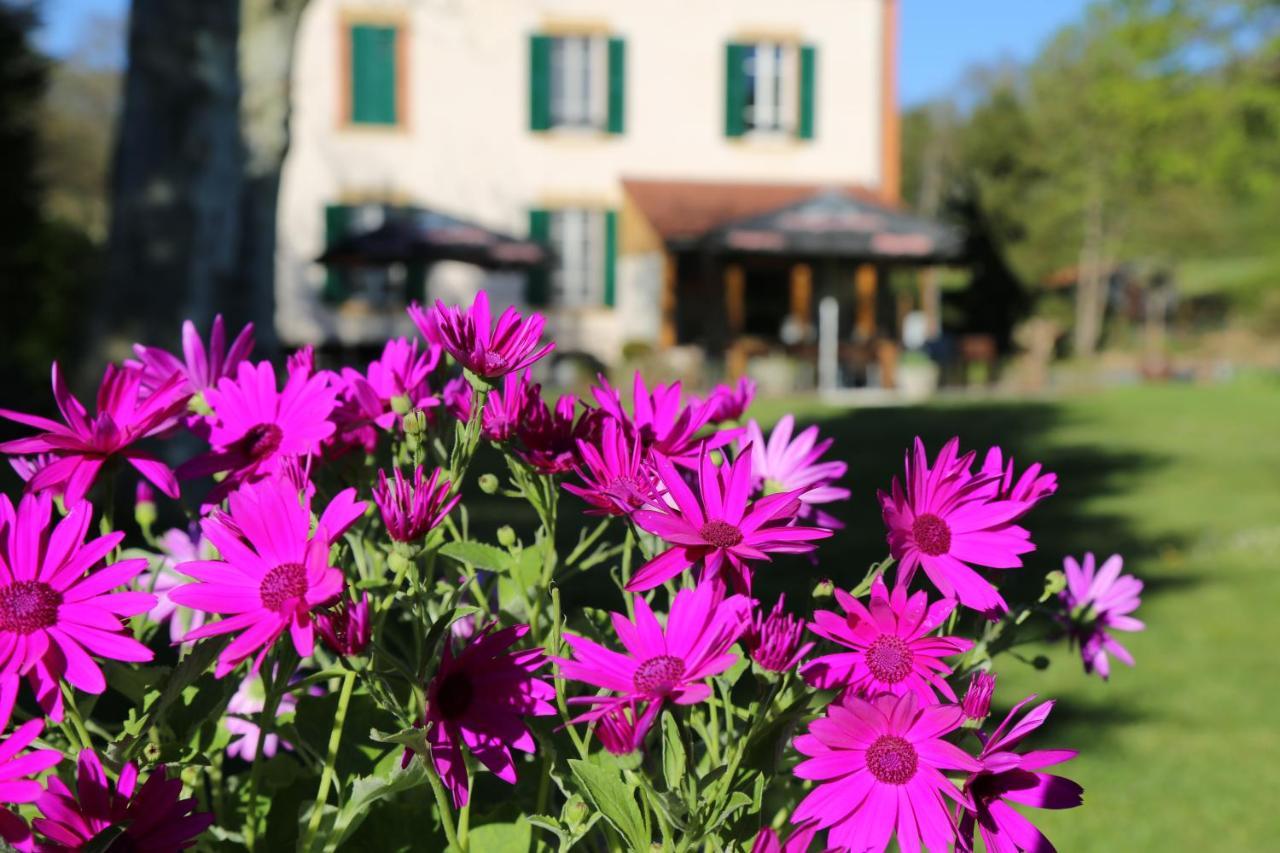 Bed and Breakfast Le Bonnet De Nuit Chalmoux Esterno foto