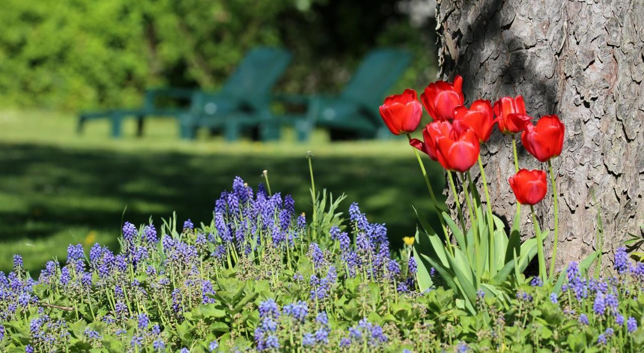 Bed and Breakfast Le Bonnet De Nuit Chalmoux Esterno foto